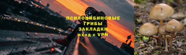 спайс Алзамай