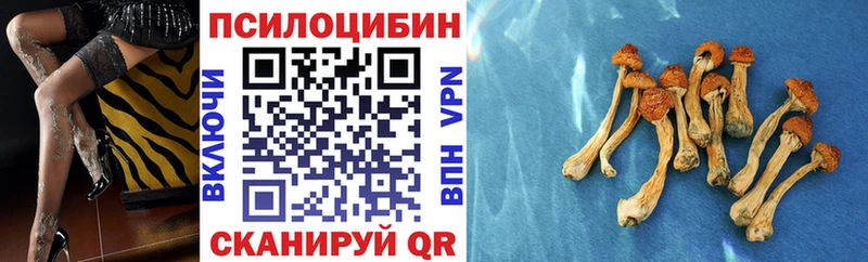 Галлюциногенные грибы Cubensis  магазин  наркотиков  Балабаново 